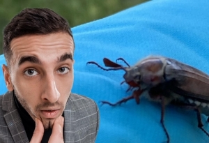 Akár bogarat is enne Magyed, hogy új élményeket gyűjtsön - VIDEÓ | Stand Up Comedy Humortársulat