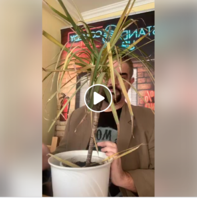 Élő adás a lakásomból aktualitásokkal | Stand Up Comedy Humortársulat