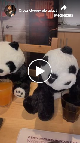 KARANTÉN LIVE - Orosz Gyurival 2020.05.12. | Stand Up Comedy Humortársulat