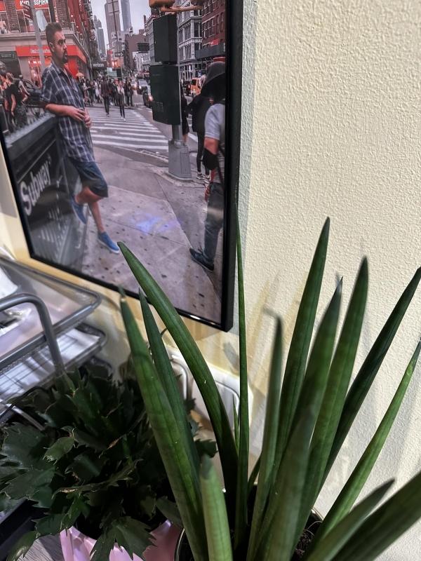 Rezsicsökkentés | Stand Up Comedy Humortársulat